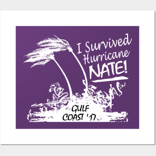 I survived Hurricane Nate Posters and Art